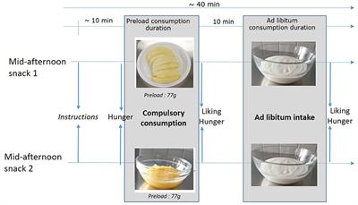 Effects of Apple Form on Energy Intake During a Mid-Afternoon Snack: A Preload Paradigm Study in School-Aged Children